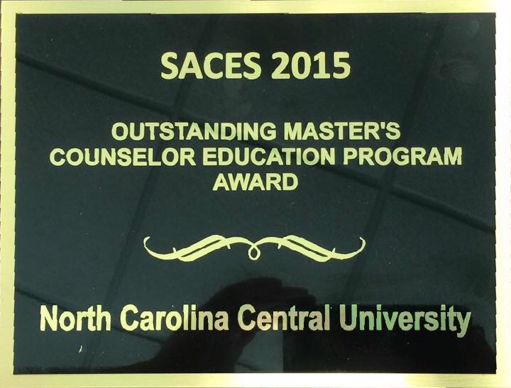 SACES award 2015